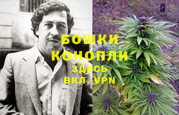 прущие грибы Беломорск