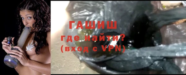 хмурый Белокуриха