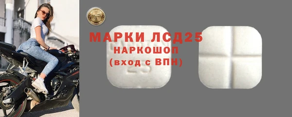 хмурый Белокуриха