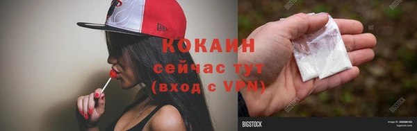 хмурый Белокуриха
