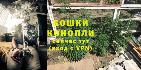 прущие грибы Беломорск