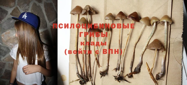 прущие грибы Беломорск