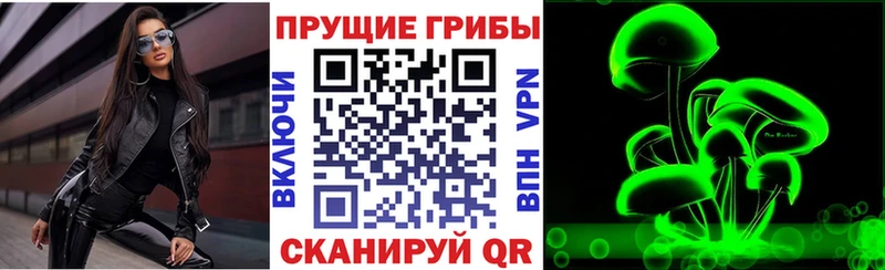 Псилоцибиновые грибы Cubensis  купить наркотики цена  Каменск-Уральский 